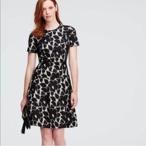 Ann Taylor Lace Short Sleeve Knee Length Cocktail Dress Size 6 Black and White